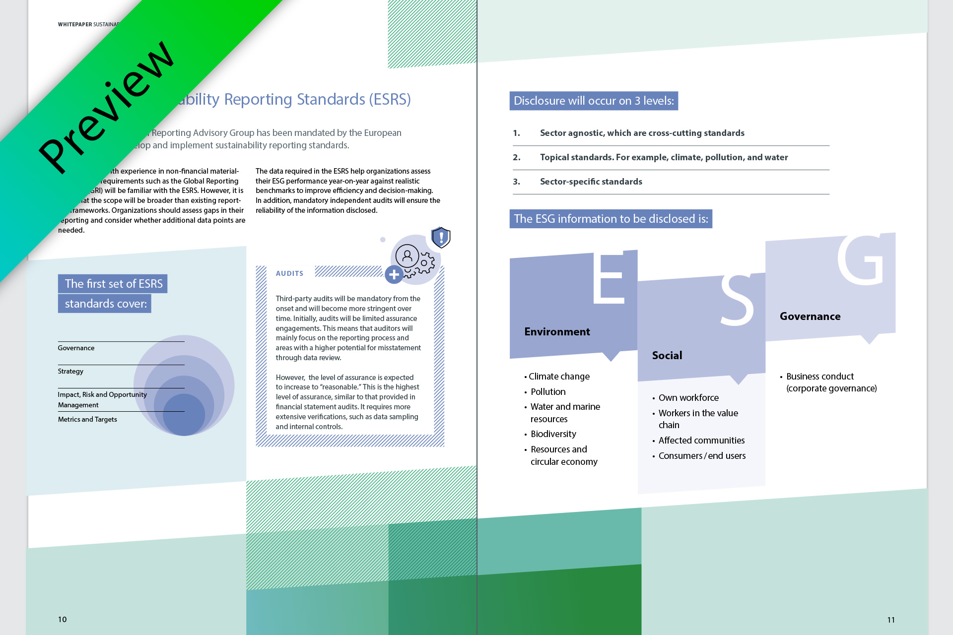 corporate sustainability reporting directive thesis